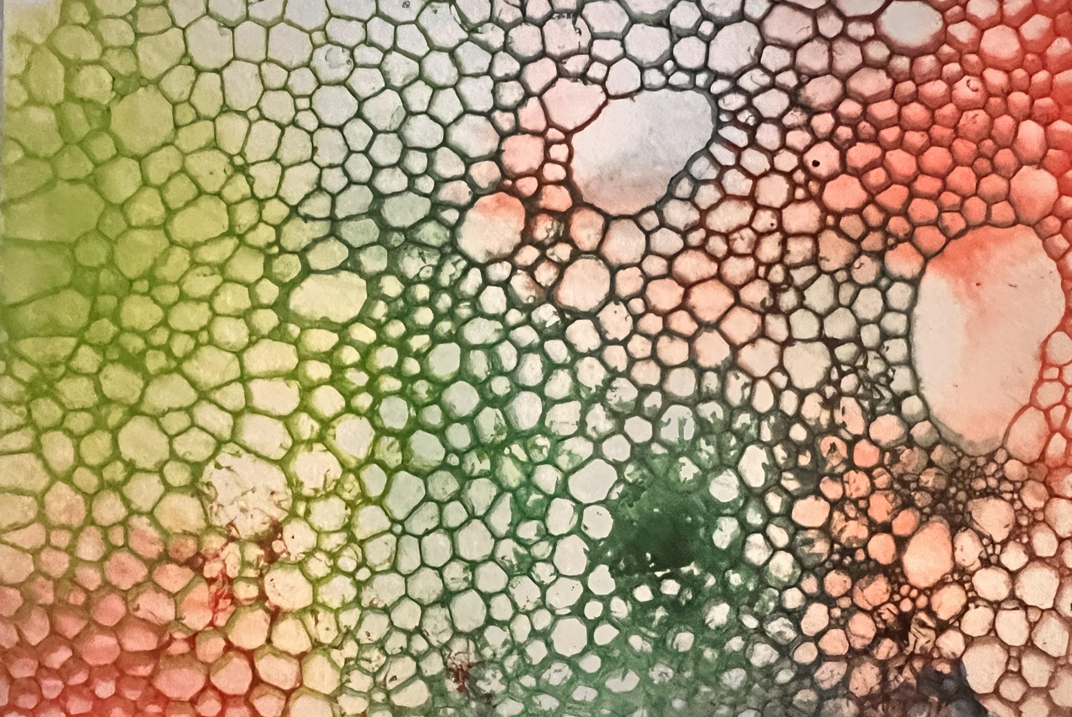 Organic green, cream and coral cellular watercolor pattern